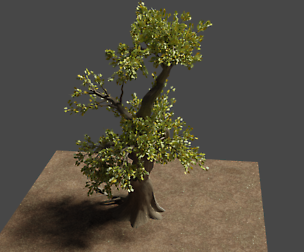 tree model