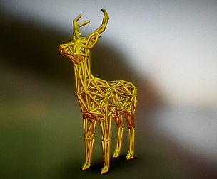 Deer