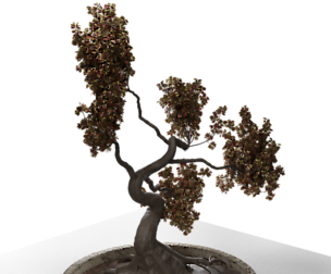 tree model with blender file and obj