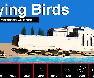 Flying Birds Brushes