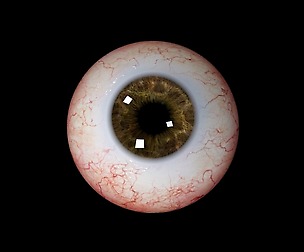 Realistic Eye Files Cornia + iris + textures