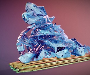 Chinese Dragon