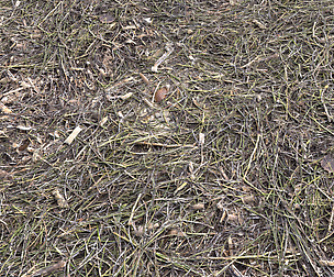 Forest Terrain dirt Pack 12