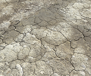 Cracked Wasteland ground texture PBR