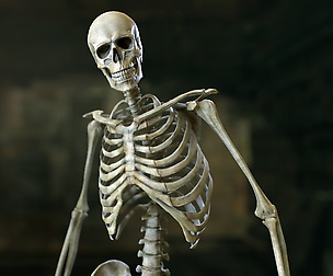 Skeleton 2.0