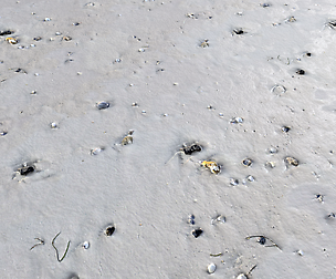 Ground terrain beach PBR pack 1 Texture
