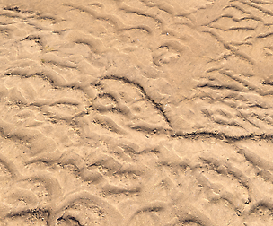 Ground terrain desert PBR pack 5