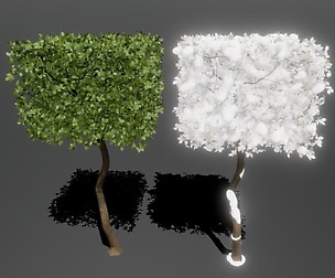 Seasonal Trees