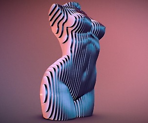 Sliced Female Torso Model