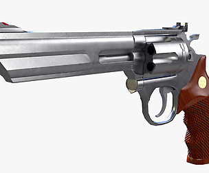 Colt Python