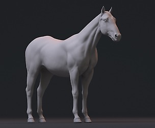 Realistic Horse  3D model Zbrush, Max, Maya