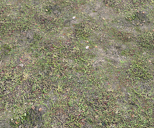 Forest ground Pack PBR 1 Texture