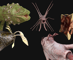 Flying Monsters Collection