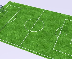 Soccer Toon Field