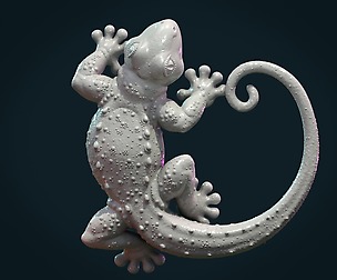 Gecko
