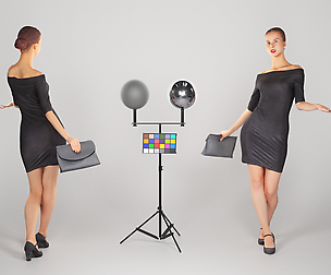 Elegant lady with a clutch bag 113