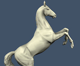 horse stands on the rocks