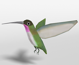 Low Poly Cartoon Hummingbird