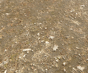 Arid Wasteland ground PBR Pack 1