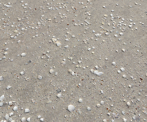 Ground terrain beach PBR pack 2 Texture