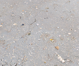 Ground terrain beach PBR pack 3 Texture