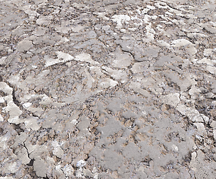 Desert Wasteland ground PBR Pack 2 Texture