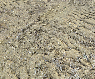 Desert Wasteland ground PBR Pack 3 Texture