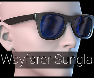 Wayfarer Sunglasses