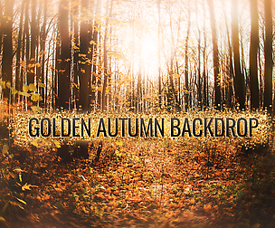 Autumn backdrop, Autumn Digital Photography