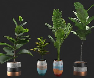 Plant and vase vol. 01