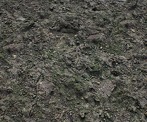 [PBR TEXTURES] Forest_Stones_2k