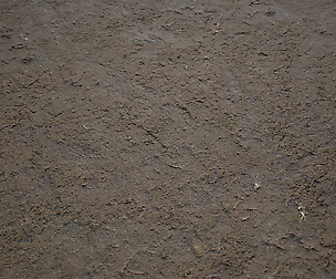 [PBR TEXTURES] Forest_Mud_2k