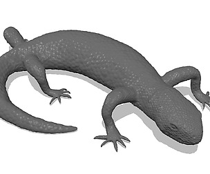 Beaded Lizard