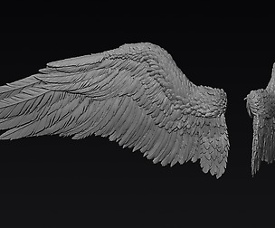 Wings Print Ready