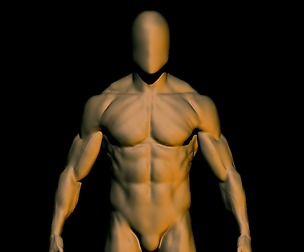 high poly anatomy