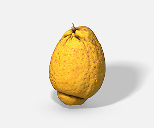 Fruit Citron - Photoscanned PBR