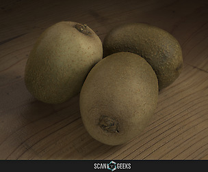 Kiwi Photogrammetry Asset 3D PhotoScan