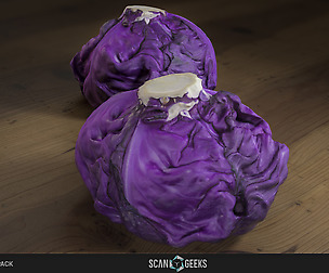 Cabbage Photogrammetry Asset 3D PhotoScan