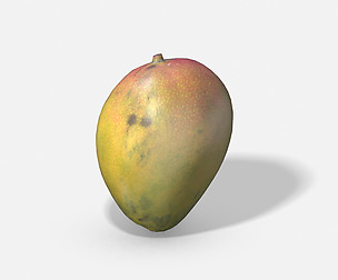 Exotic Fruit Mango - Photoscanned PBR
