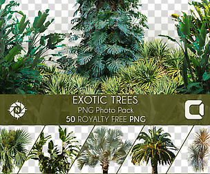 Exotic Trees - PNG Photo Pack