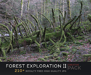 Forest Exploration CREATIVE PACK part II