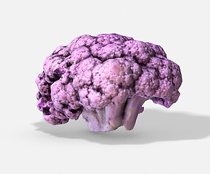 Vegetable Purple Cauliflower - Photoscanned PBR