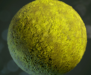 Moss Texture