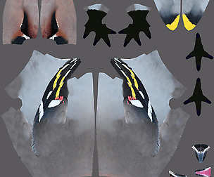 Premade Waxwing bird textures
