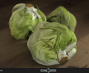 Lettuce Photogrammetry Asset 3D PhotoScan