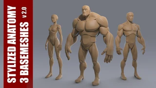 Stylized Anatomy BASEMESHES cover