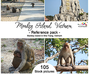 Monkey Island photos reference pack