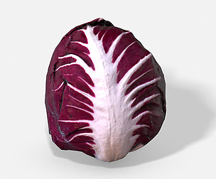 Vegetable Red Chicory - Photoscanned PBR