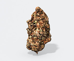 Marijuana Bud 2 - Photoscanned PBR