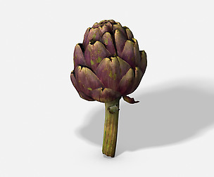 Vegetable Artichoke - Photoscanned PBR